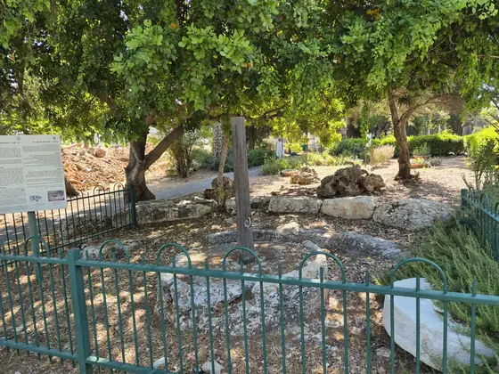 בית בד וגת בגן הפסגה