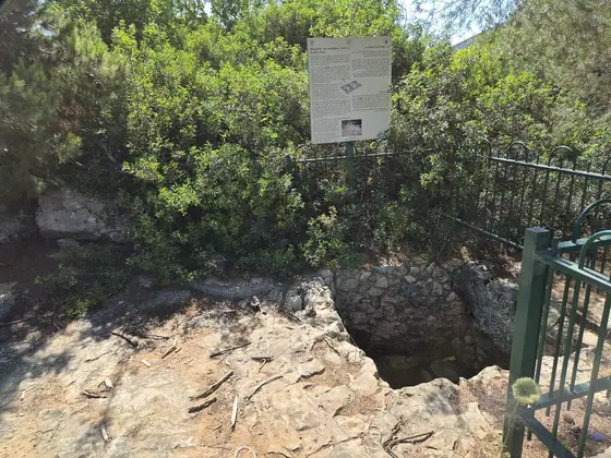 בית בד וגת בגן הפסגה — תמונה 2