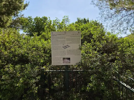 בית בד וגת בגן הפסגה — תמונה 6