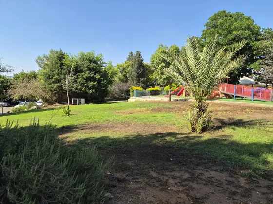 גן הפסגה — תמונה 10