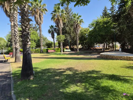 גן הפסגה — תמונה 6