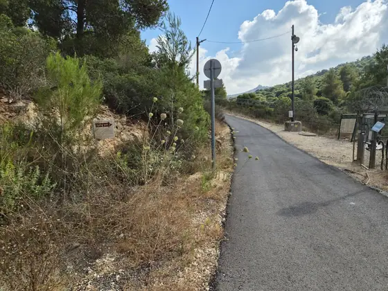 דרך גלעד — תמונה 10