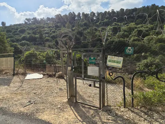 דרך גלעד — תמונה 11