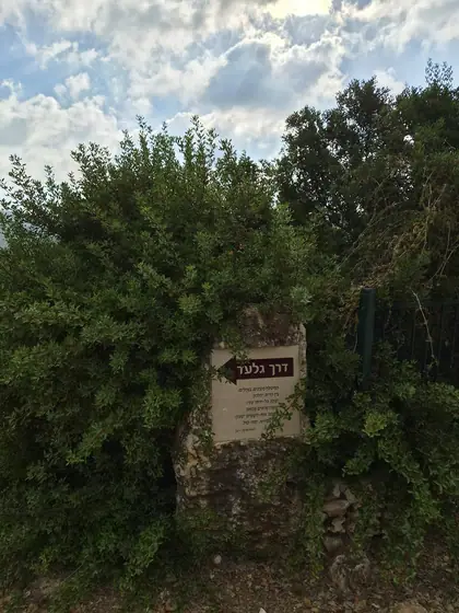 דרך גלעד — תמונה 3