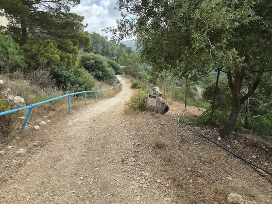 דרך גלעד — תמונה 5