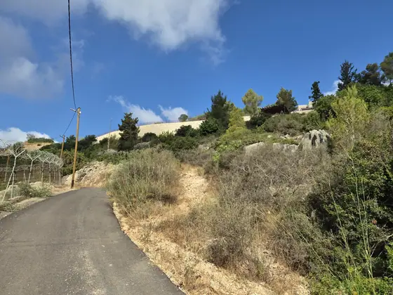דרך גלעד — תמונה 9