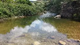 האפיק הבולע ובריכת הגמל — תמונה 2