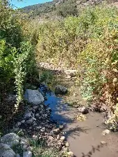 האפיק הבולע ובריכת הגמל — תמונה 3