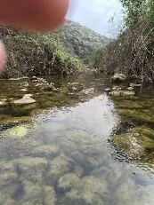 האפיק הבולע ובריכת הגמל — תמונה 5