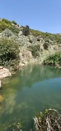 האפיק הבולע ובריכת הגמל — תמונה 8