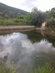 האפיק הבולע ובריכת הגמל — תמונה 9