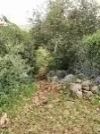 הר הקור — תמונה 13