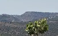 הר הקור
