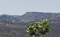 הר הקור — תמונה 14
