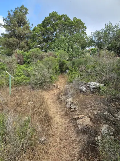 חורש גלעד — תמונה 10