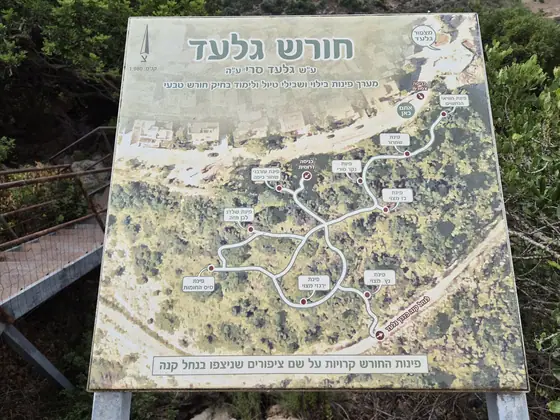 חורש גלעד — תמונה 14