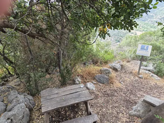 חורש גלעד — תמונה 15