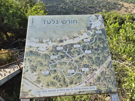 חורש גלעד — תמונה 4