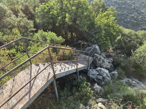 חורש גלעד — תמונה 5