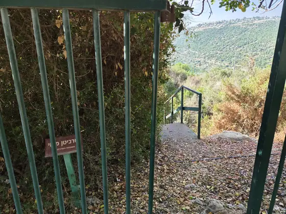 חורש גלעד — תמונה 6
