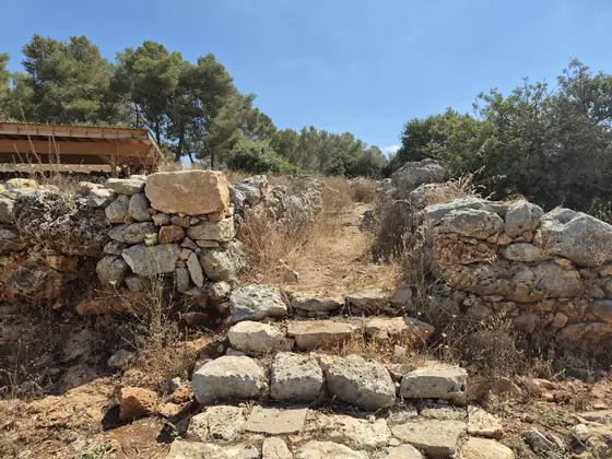 כפר אזה — תמונה 12