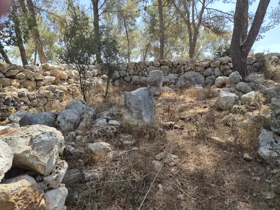 כפר אזה — תמונה 3
