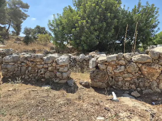 כפר אזה — תמונה 8