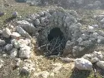 מיצד קנה — תמונה 14