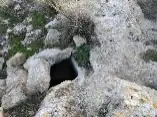 מיצד קנה — תמונה 15