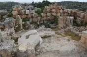 מיצד קנה