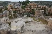 מיצד קנה — תמונה 2