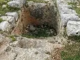 מיצד קנה — תמונה 23