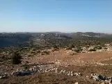 מיצד קנה — תמונה 3
