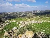 מיצד קנה — תמונה 4