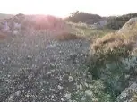 מיצד קנה — תמונה 9