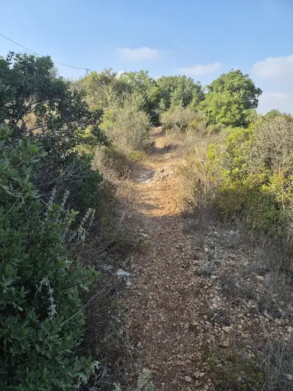 מסלול תרצה ] — תמונה 10