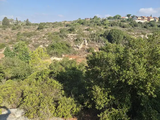 מסלול תרצה ] — תמונה 11