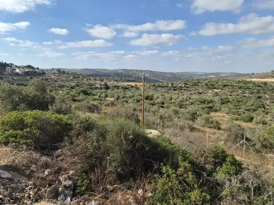 מסלול תרצה ] — תמונה 2