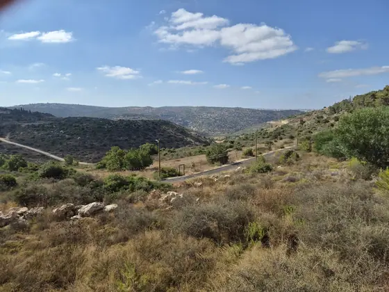 מסלול תרצה ] — תמונה 3