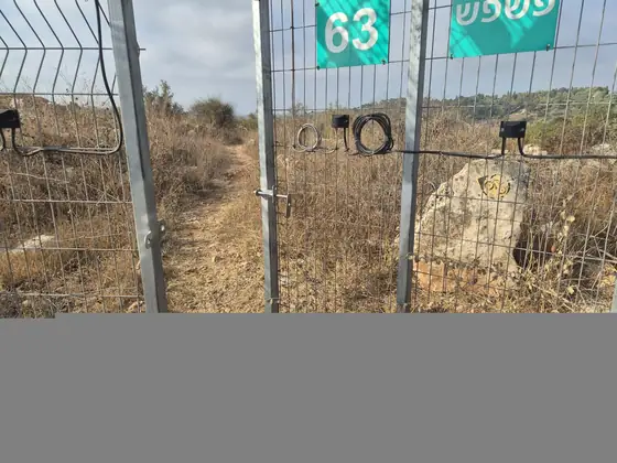 מסלול תרצה ] — תמונה 4