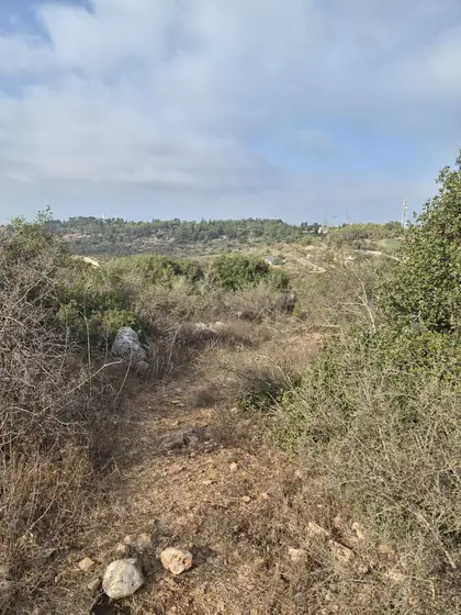 מסלול תרצה ] — תמונה 5