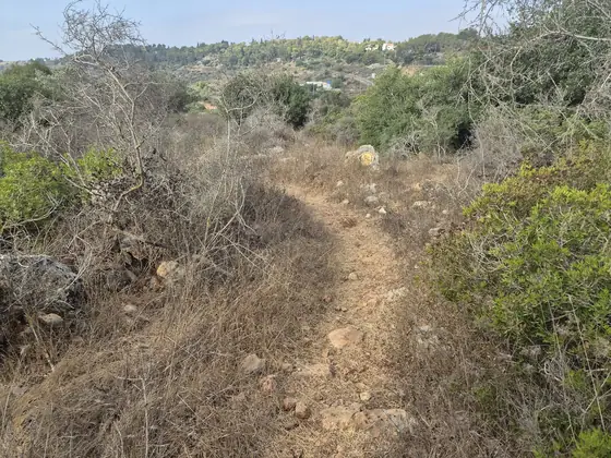 מסלול תרצה ] — תמונה 6