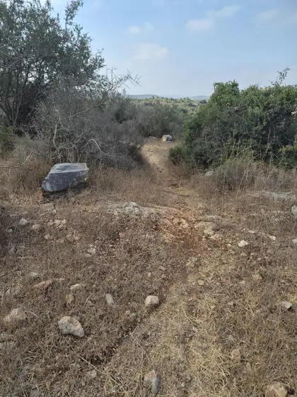מסלול תרצה ] — תמונה 7