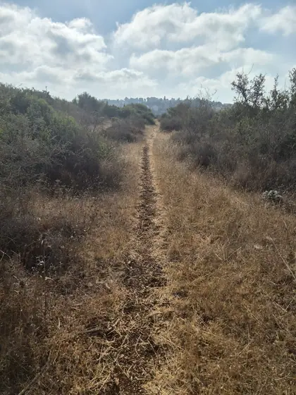 מסלול תרצה ] — תמונה 8