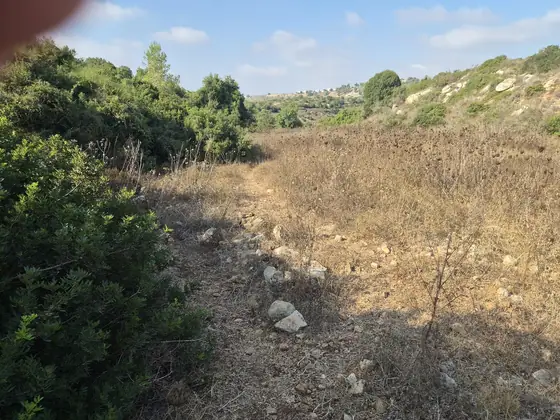 מסלול תרצה ] — תמונה 9