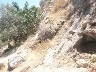 מערת נחל קנה — תמונה 2