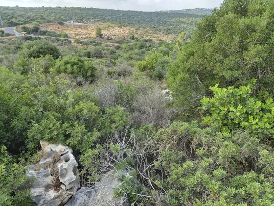מערת נקיקי הדבש — תמונה 2