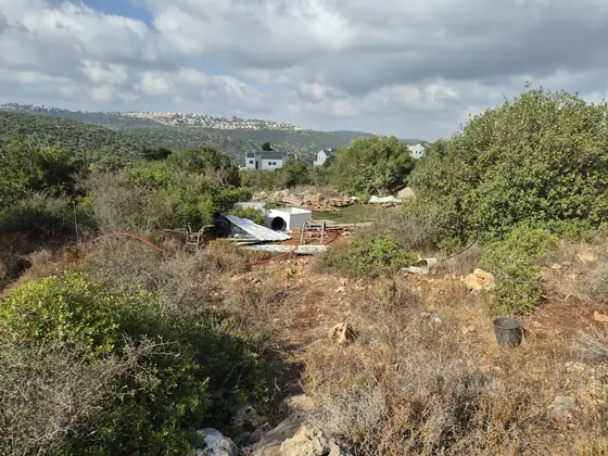 מערת נקיקי הדבש — תמונה 4
