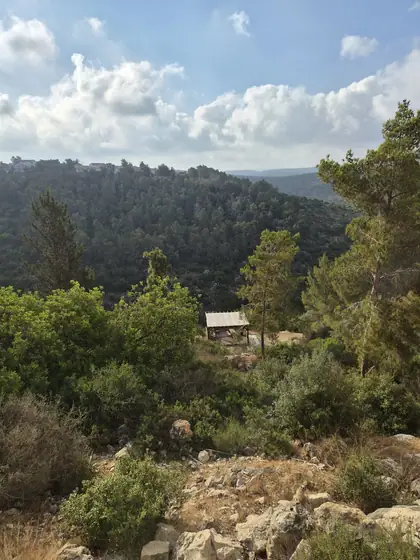 מצפה הגיבורים — תמונה 2