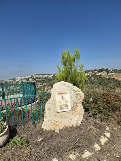 מצפה שושנה — תמונה 3